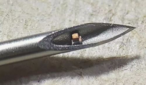 Самый маленький компьютер в мире может быть введен в тело при помощи обычной инъекции